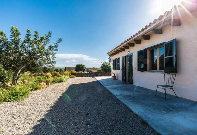 Standard bungalow with terrace, Finca Agroturismo Sa Cova Den Borino