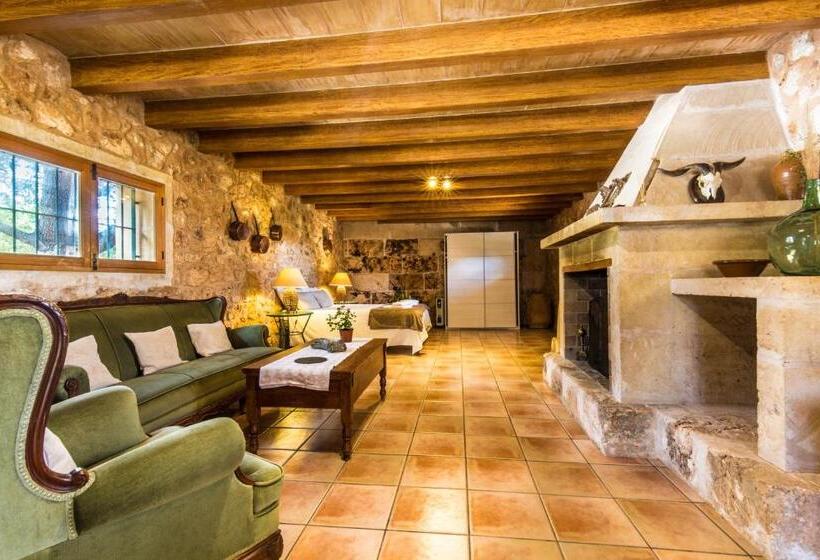 テラス付きスタンダードワンルーム, Finca Agroturismo Sa Cova Den Borino