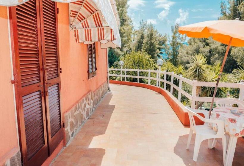 آپارتمان 1 خوابه با چشم‌انداز استخر, Residence Villa La Palmas