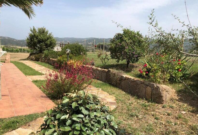 Номер Стандарт с Террасой, Agriturismo Campesi Casale Tra Le Vigne