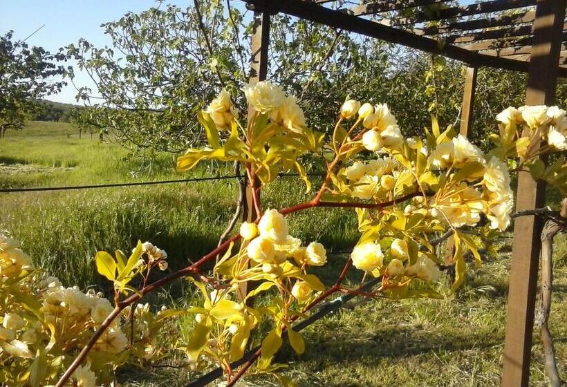 Номер Стандарт, Agriturismo Valiana
