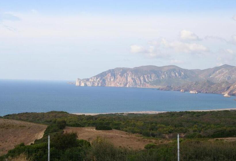 Номер Стандарт, L   Orizzonte