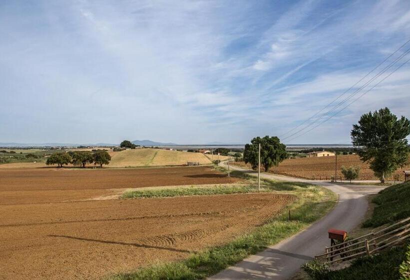 اتاق لوکس, Agriturismo Diaccia Botrona