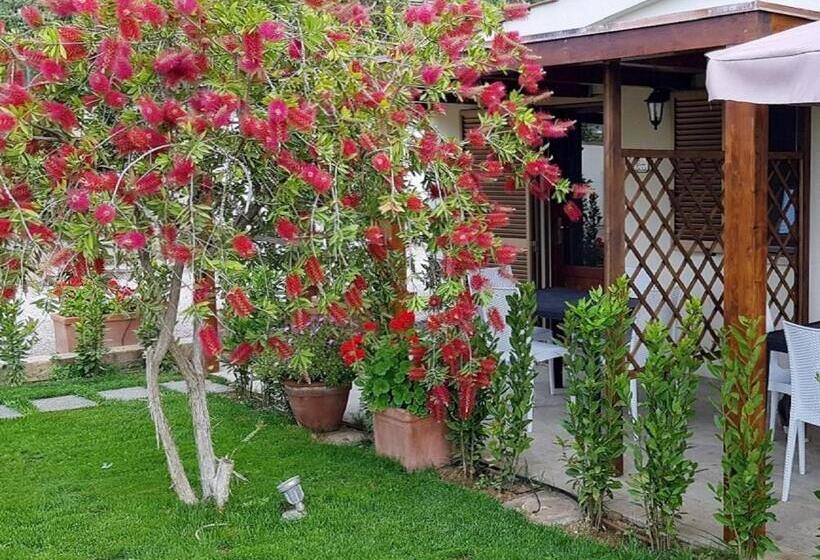 آپارتمان 1 خوابه, Agriturismo Diaccia Botrona