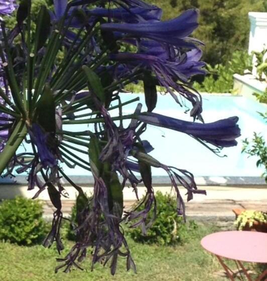 1间卧室的房子, Tenuta Agriturismo Il Risveglio