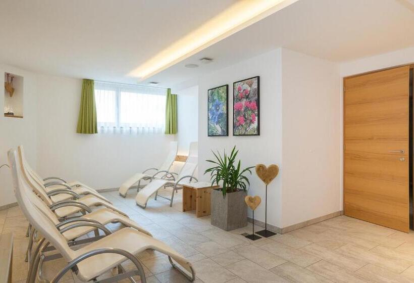 Апартаменты 2 Спальни, Residence Aichner