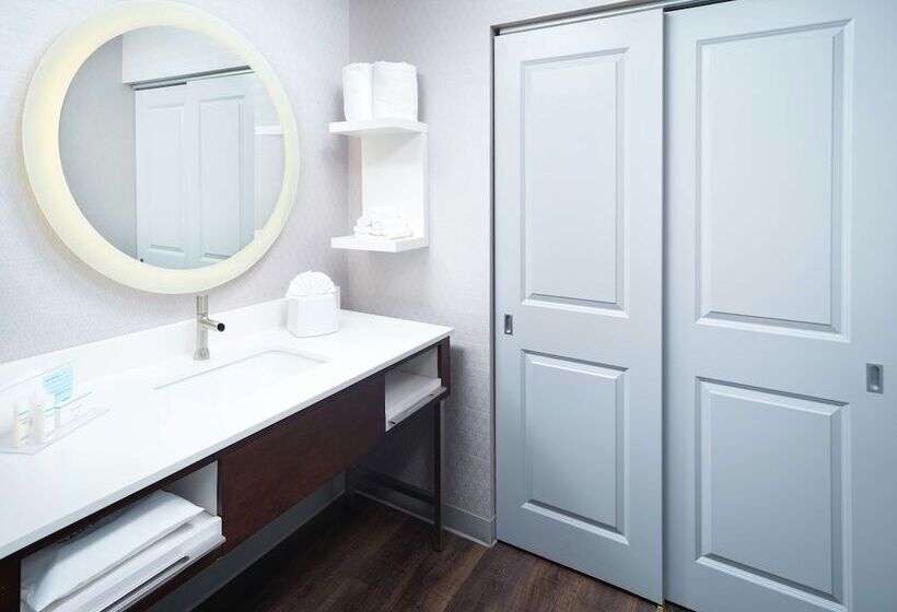 장애인을 위한 스탠다드 룸, Hampton Inn & Suites Atlanta  Decatur/emory