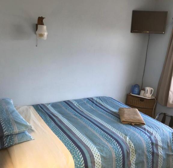 חדר סטנדרט יחיד, Carnside Guest House