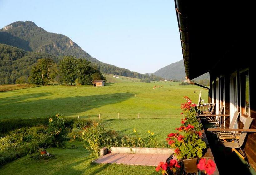 Номер Стандарт с Балконом, Pension Rauschberghof