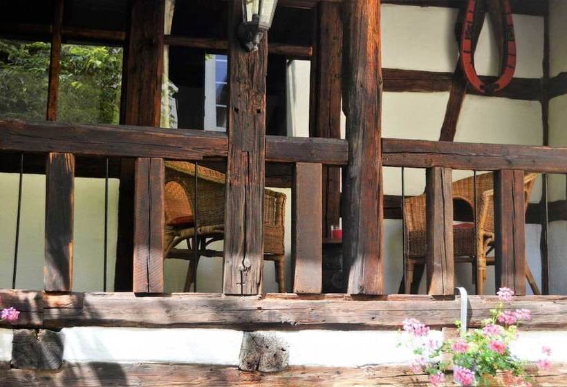 Апартаменты 5 спален, & Café Mohrenbrunnen