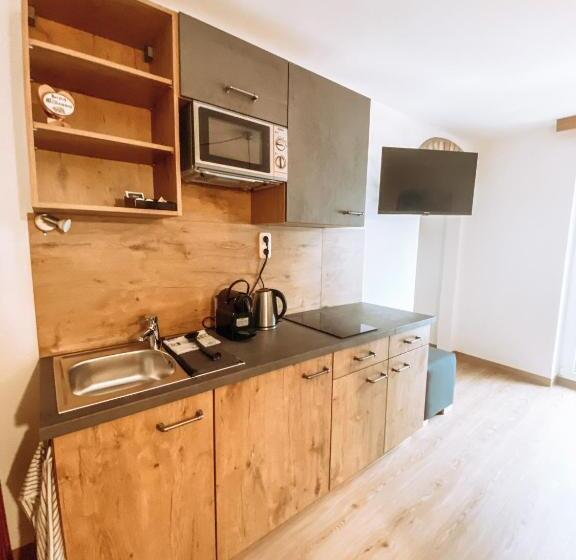Апартаменты 1 Спальня, Alpenappartements Schwalbennestl