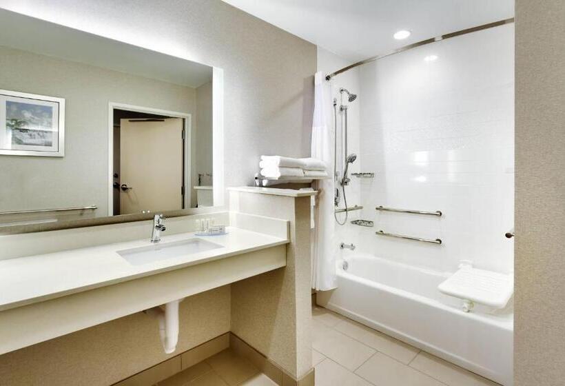 套房, Fairfield Inn & Suites By Marriott Springfield North