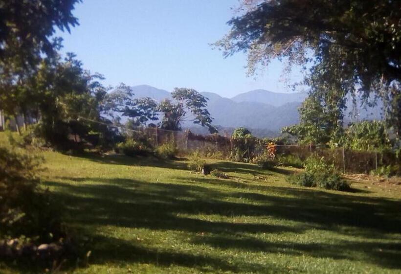 استودیوی استاندارد, Shotover Gardens Estate
