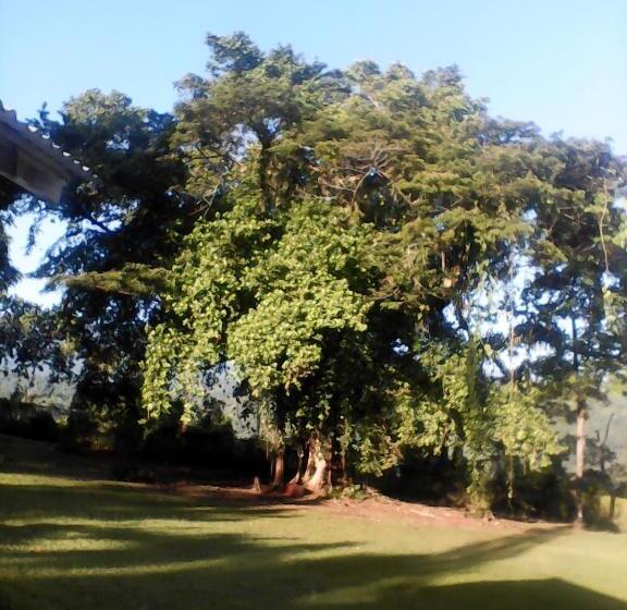 خانه 1 خوابه, Shotover Gardens Estate