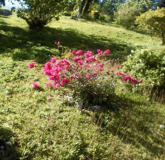 استودیوی استاندارد, Shotover Gardens Estate