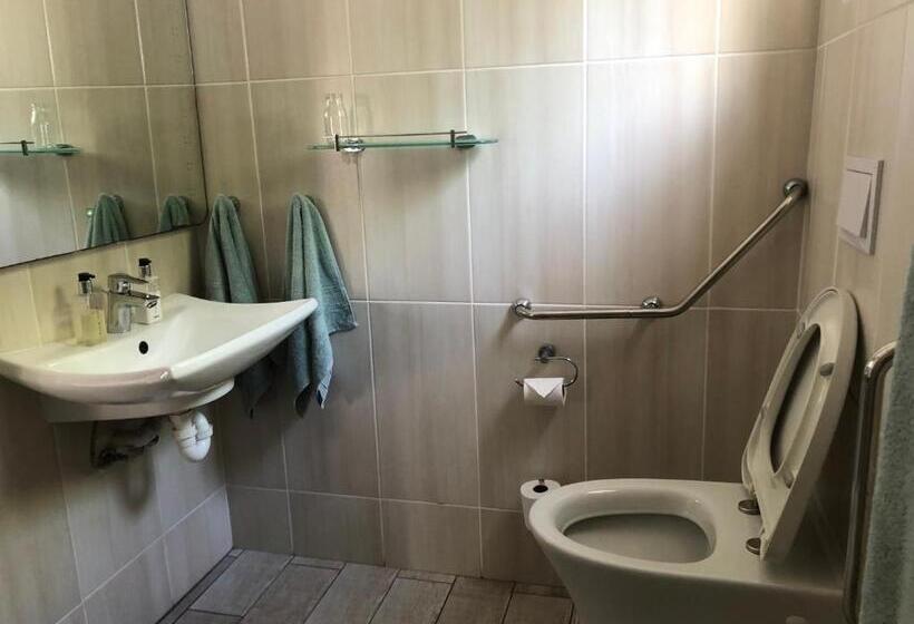 Номер Deluxe Адаптированный для Инвалидов, Bluesky Arniston Guest House