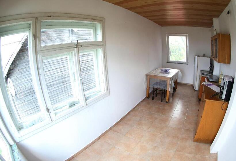 اتاق اکونومی, Vila Zenyt