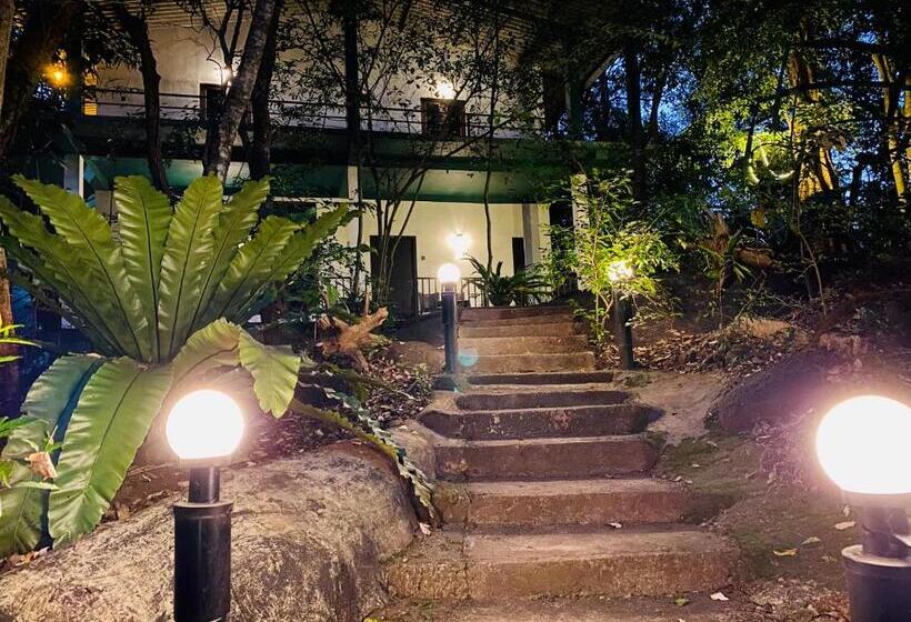 스탠다드 테라스 룸, Green House Resort