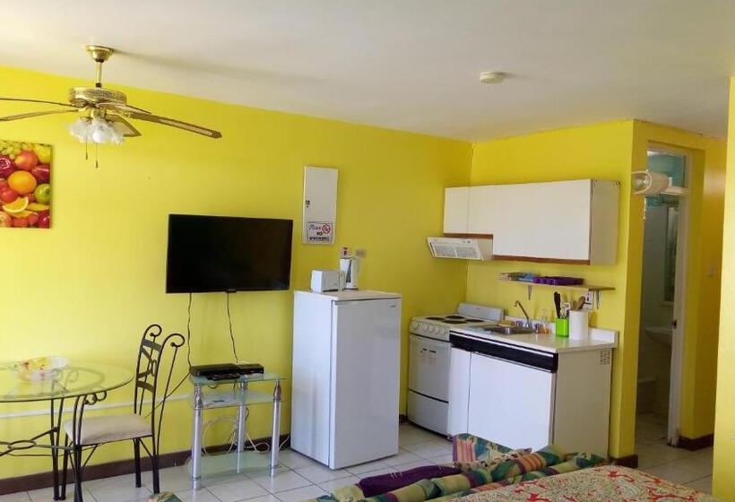 استودیوی استاندارد با چشمانداز دریا, Seacastles By The Beach/pool