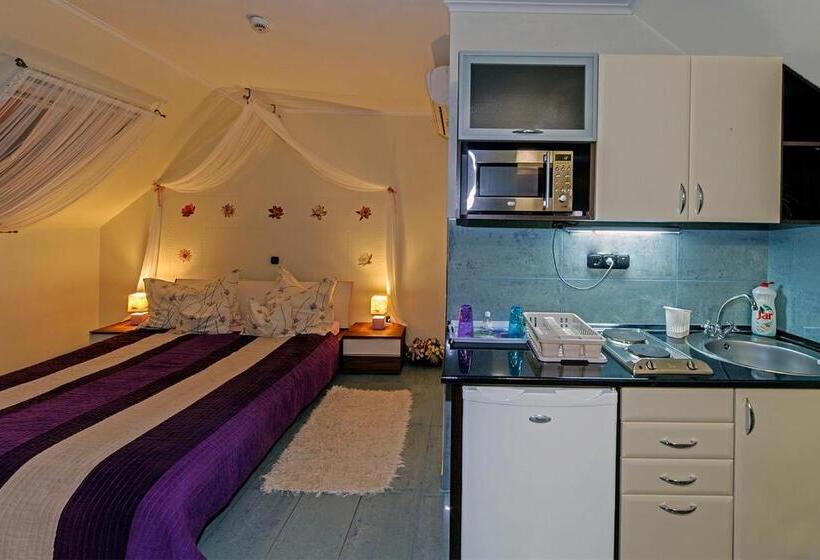 Апартаменты Deluxe 1 Спальня, Vintiamo Apartmanok