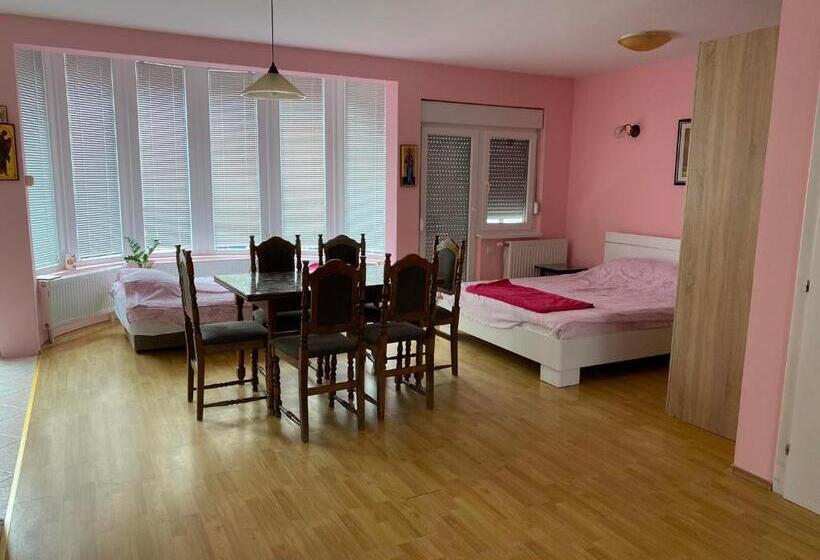 استودیوی استاندارد, Guest House Trajkovic