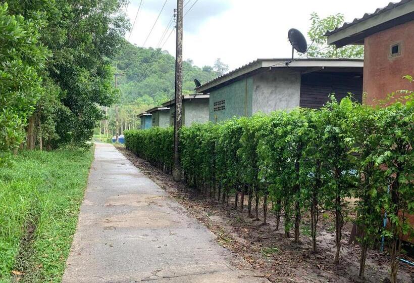 Номер Стандарт Вид на Сад, Pd Guesthouse