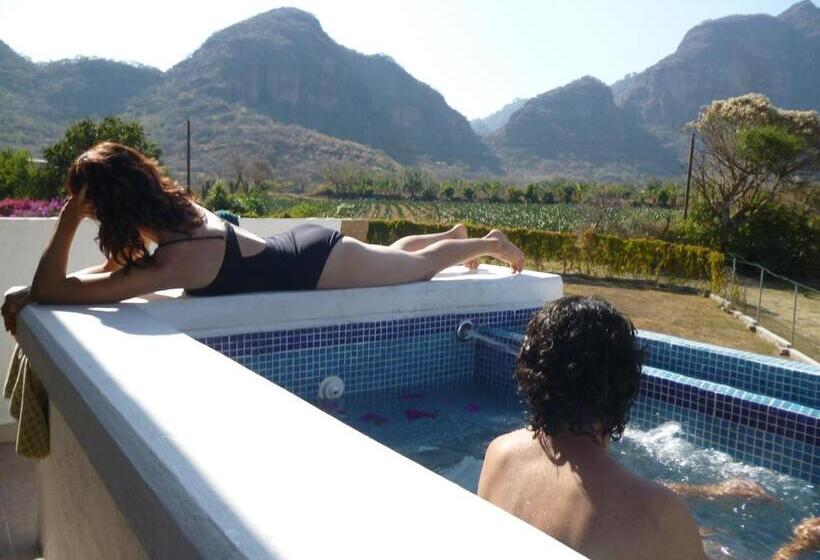 اتاق استاندارد, Villa Los Agaves   Hospedería
