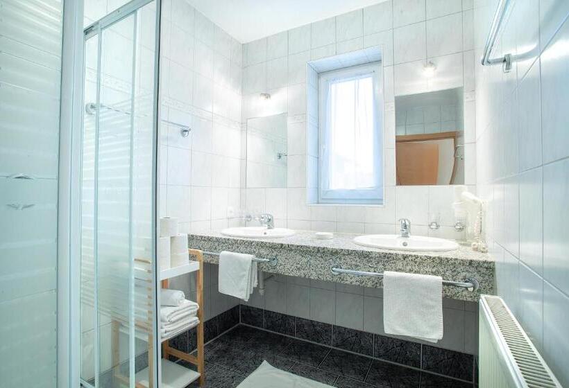 Апартаменты 1 Спальня с Террасой, Zillertal Appartements