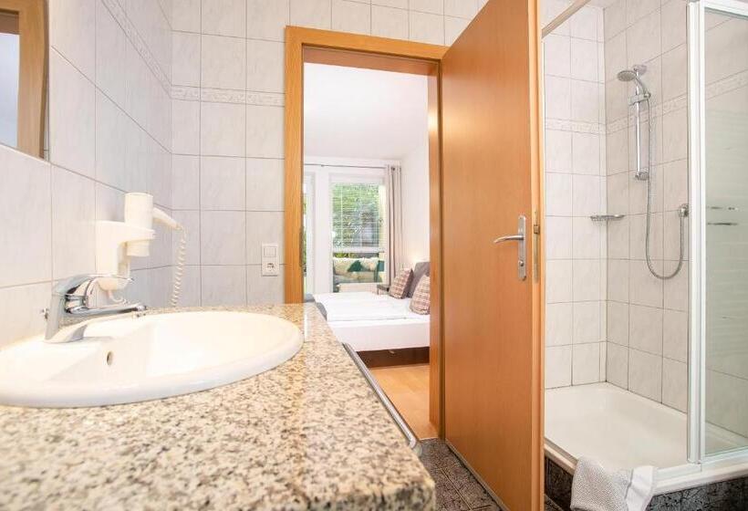 Студия Стандарт, Zillertal Appartements