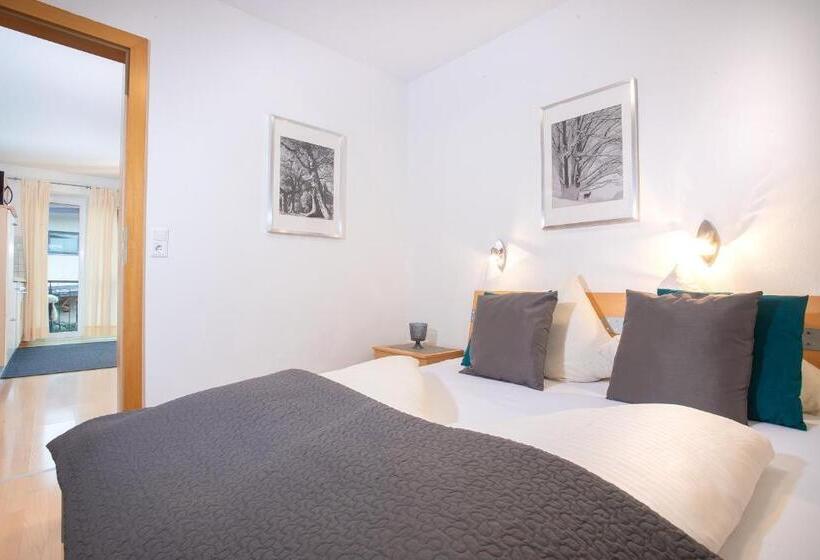 Апартаменты 1 Спальня с Балконом, Zillertal Appartements