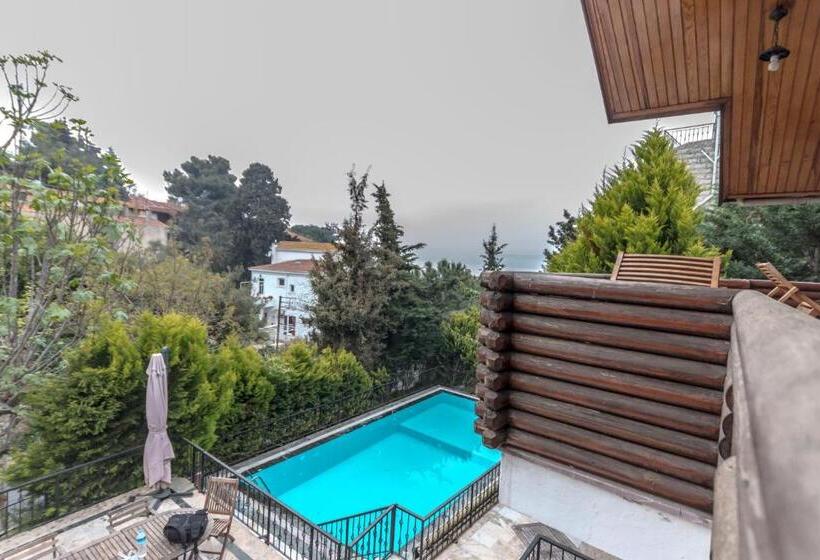 带1个卧室的豪华别墅, Büyükada Apart Hotel   Karadağ Apart