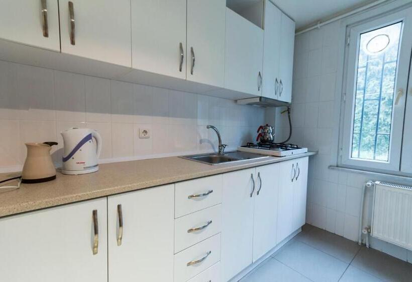 带1个卧室的豪华公寓, Büyükada Apart Hotel   Karadağ Apart