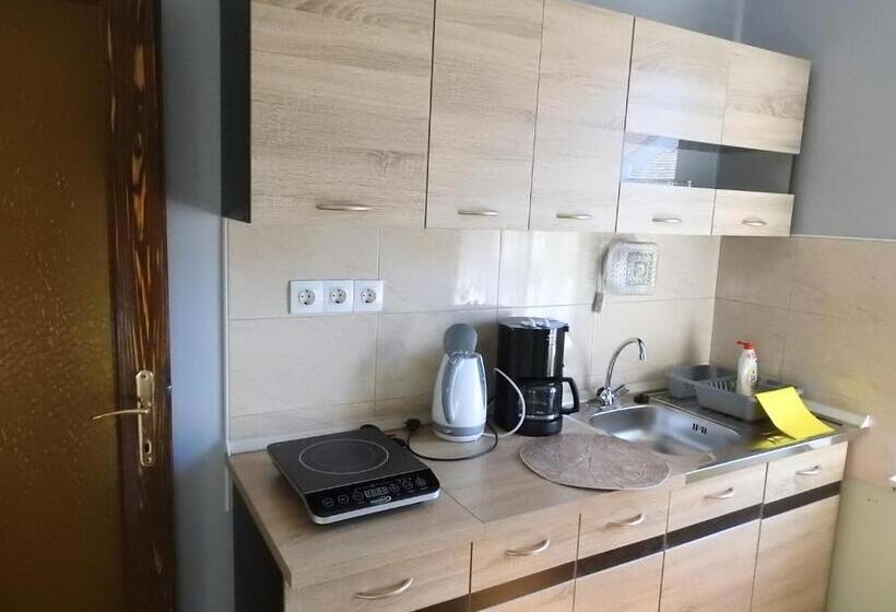 Апартаменты 1 Спальня с Балконом, Haus Gizella