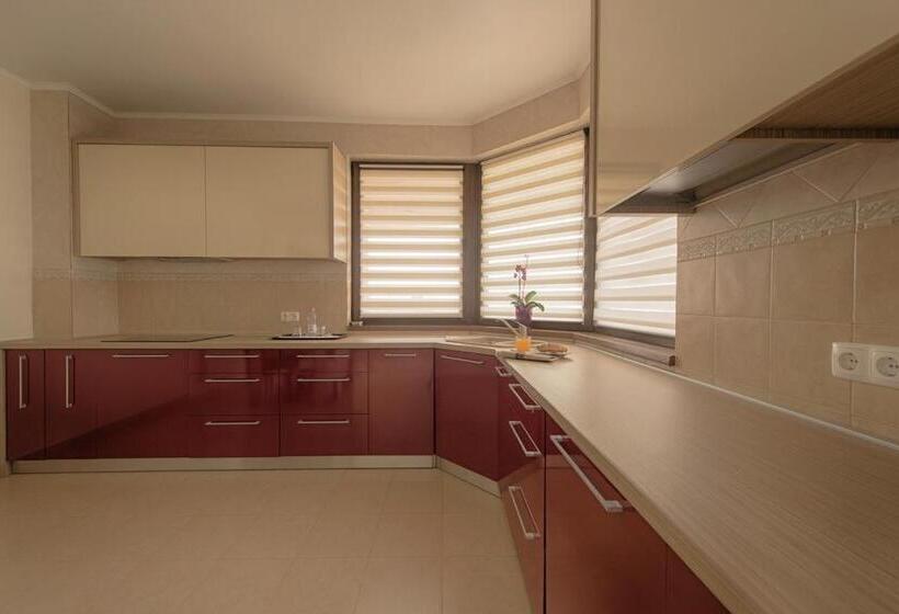 침실 1개 디럭스 아파트, Samali Residence