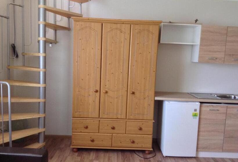 آپارتمان دوبلکس 1 خوابه, Viski Vila