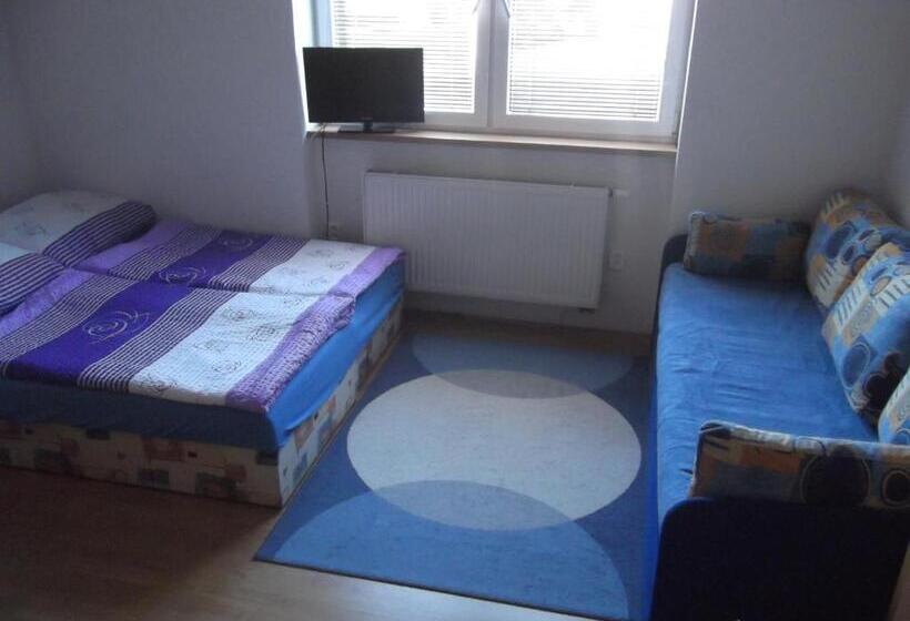 آپارتمان عادی 1 خوابه, Penzion Apartmány Zlín