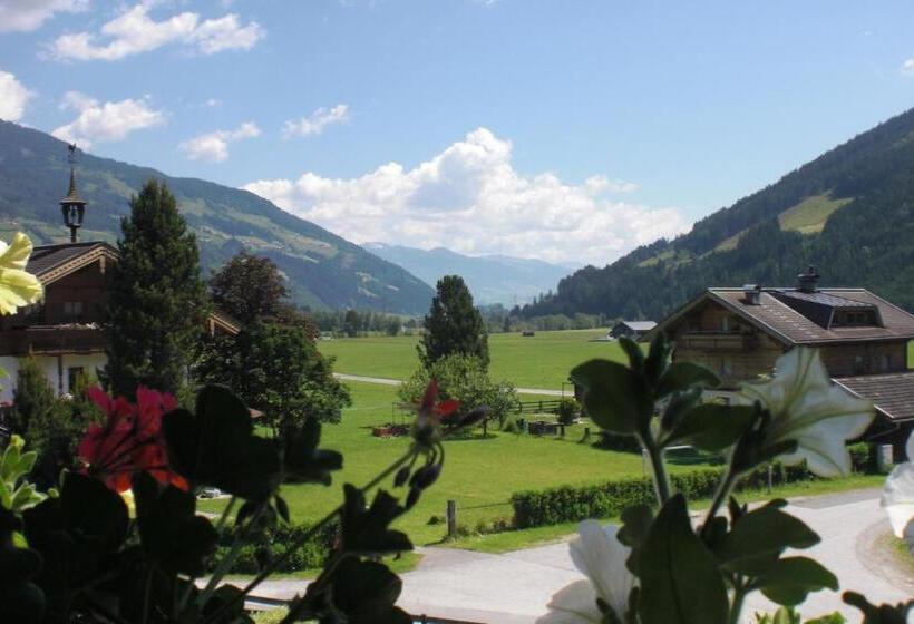 Номер Стандарт с Балконом, Naturpension Mühlhof
