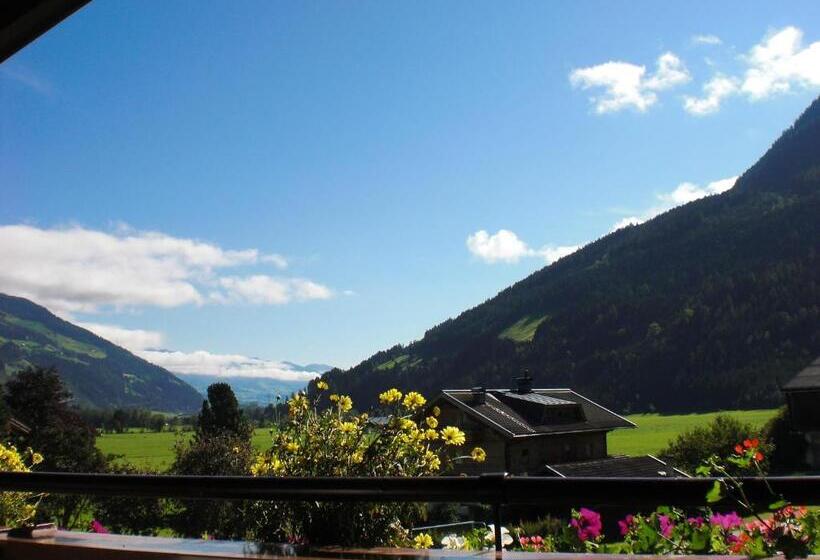 Семейный Номер Совместный Санузел, Naturpension Mühlhof