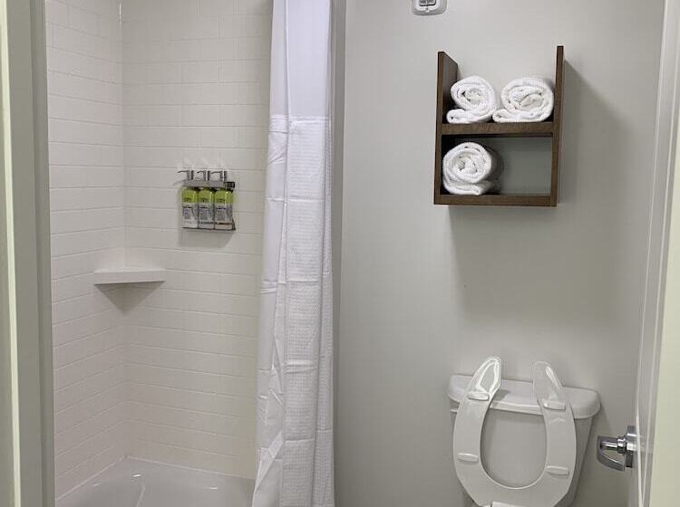 带双人床的标准工作室, Staybridge Suites   Naples   Marco Island, An Ihg