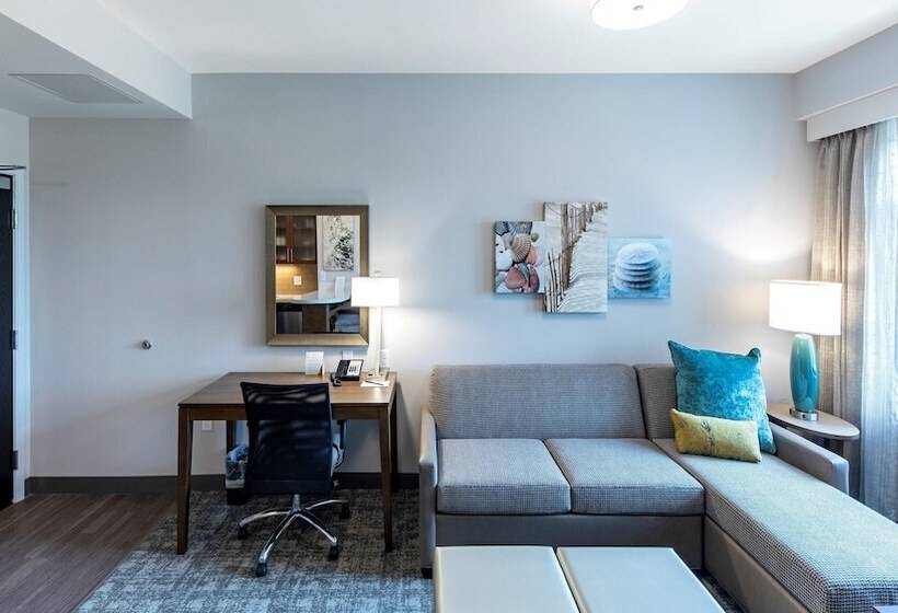 带双人床的标准工作室, Staybridge Suites   Naples   Marco Island, An Ihg