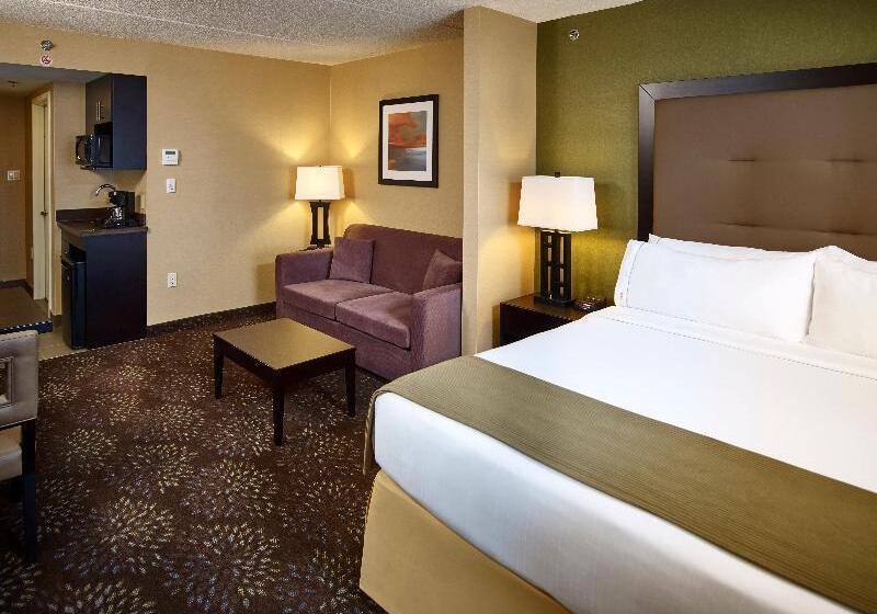 带城市景观的标准间, Novotel Sharjah Expo Centre