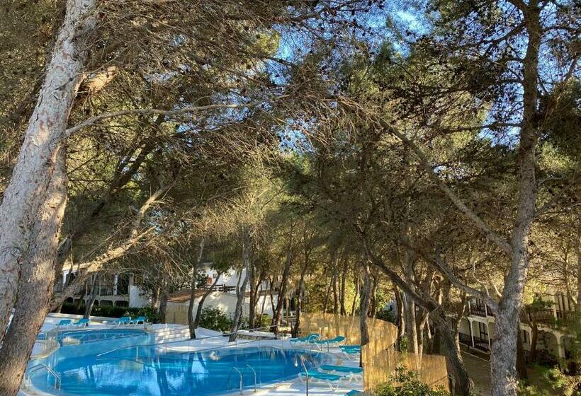 Апартаменты Superior 1 Спальня, Sol Parc Hotel & Apartments
