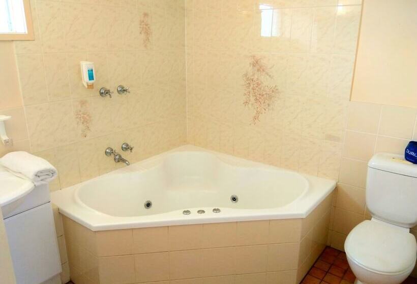 اتاق استاندارد با وان آب گرم, Australia Park Motel