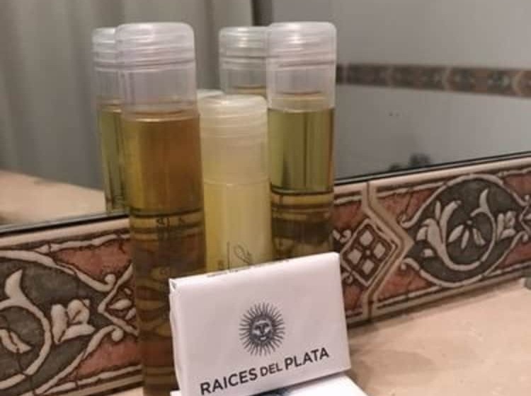 غرفة قياسية, Raices Aconcagua