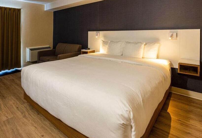 Стандартный Номер Нижний Этаж, Comfort Inn