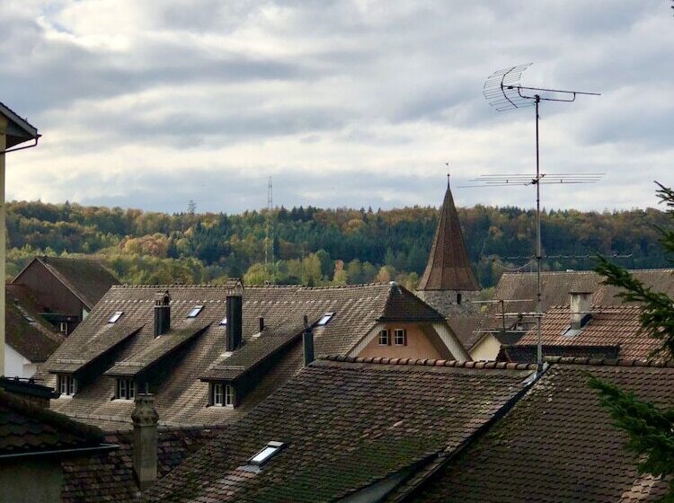 Номер Стандарт, Marco Polo Business Apartments Sonne   Bremgarten