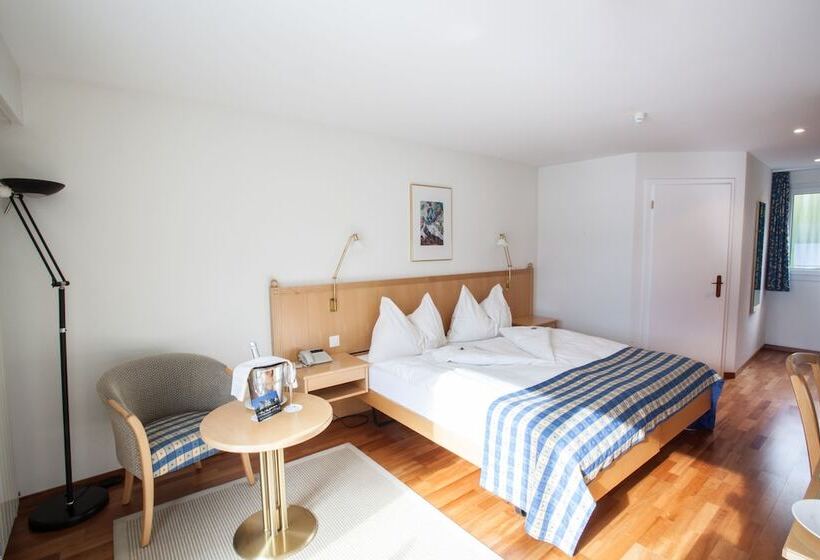 اتاق سوپریور, Garni Hotel Frohburg
