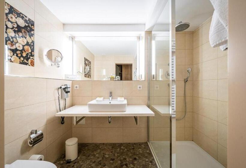 ベーシックルーム, Waldhotel Tannenhäuschen