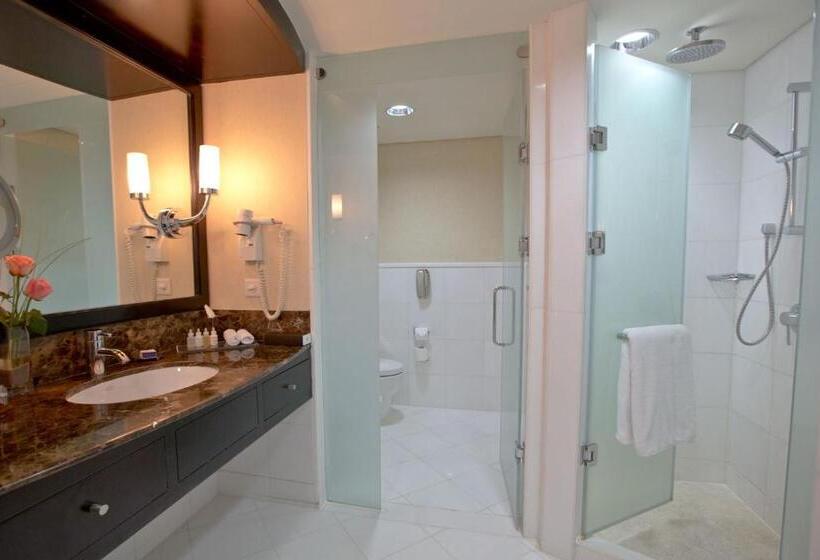 Классический Номер Вид на Сад, Intercontinental Abu Dhabi, An Ihg