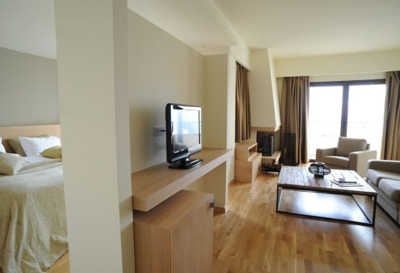 Президентский Люкс, Domotel Anemolia Mountain Resort